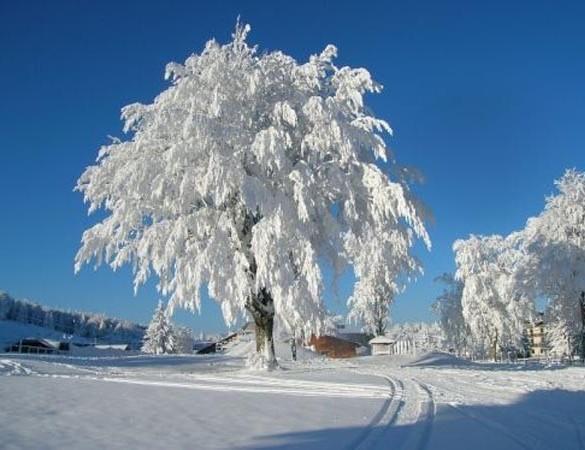 Appartamenti Dolomiti Moena Kültér fotó