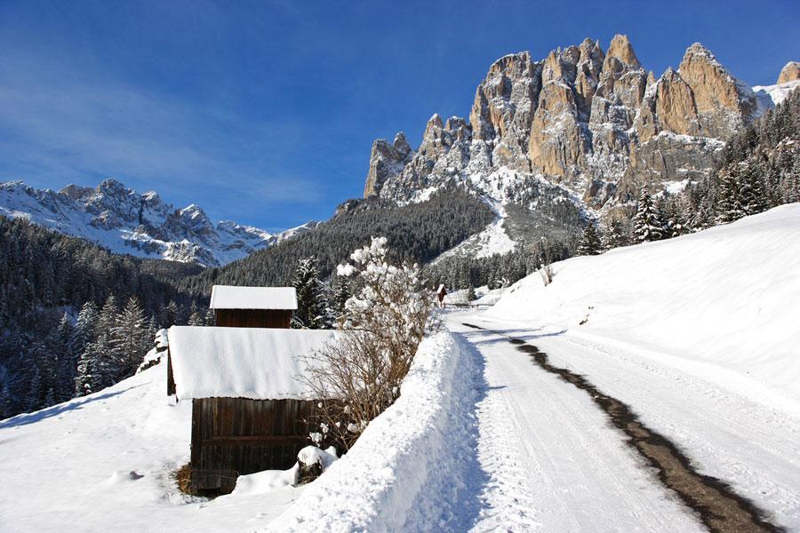 Appartamenti Dolomiti Moena Kültér fotó